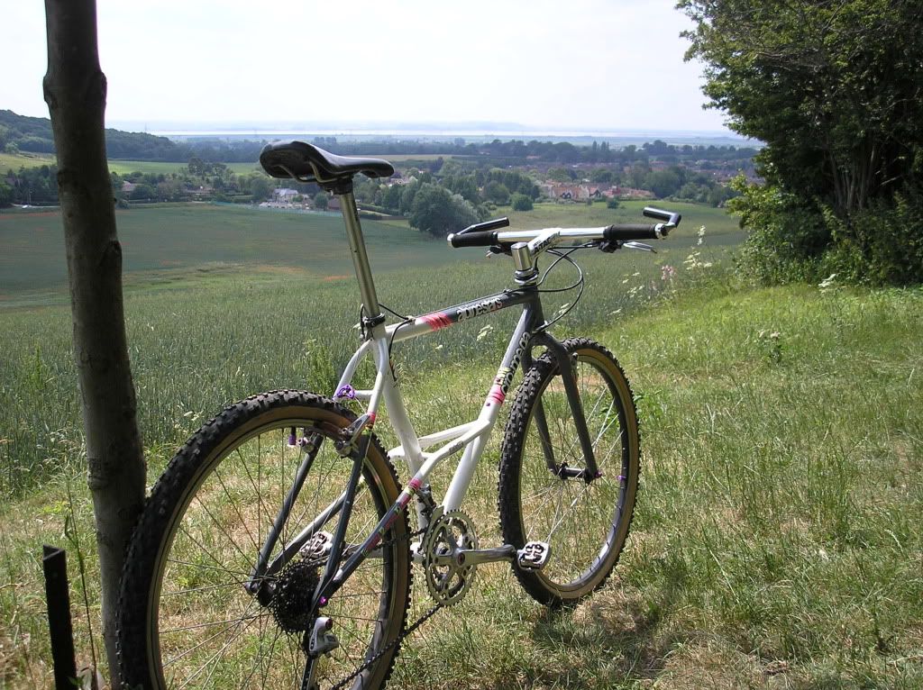 cromega008.jpg