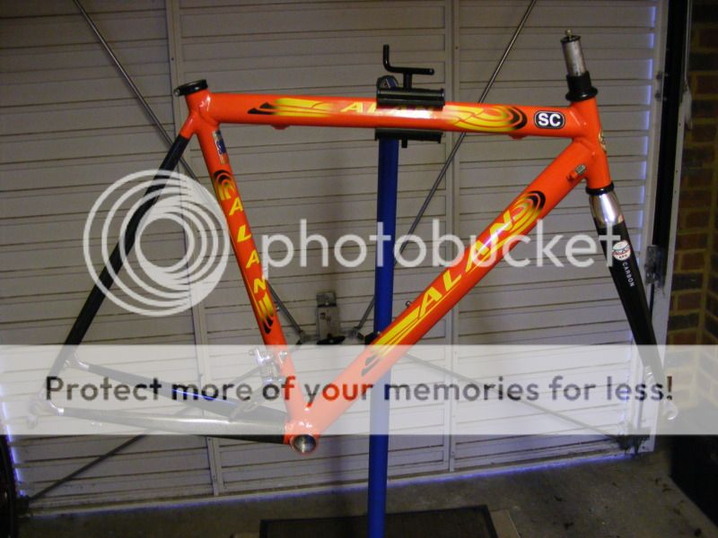 DSCF2395.jpg