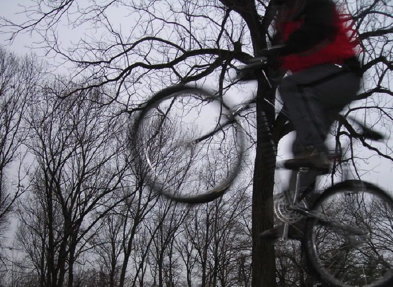 wheelshot1.jpg
