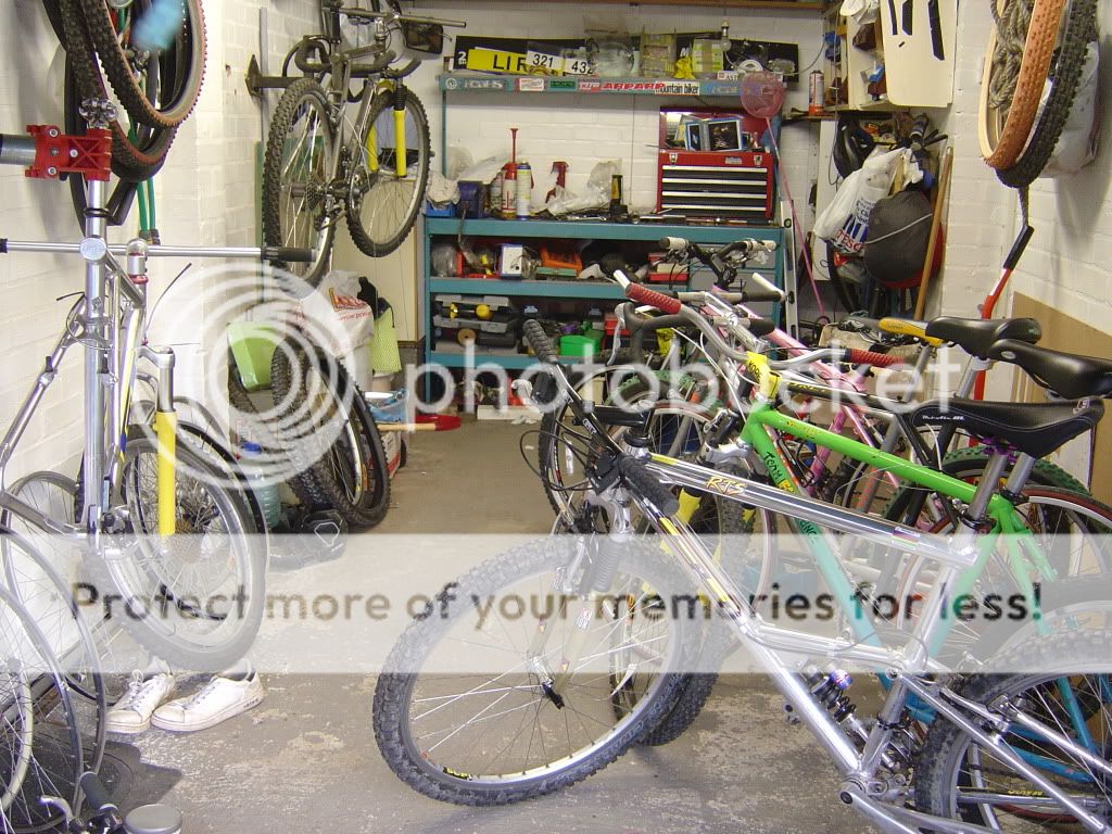 DSC05713.jpg