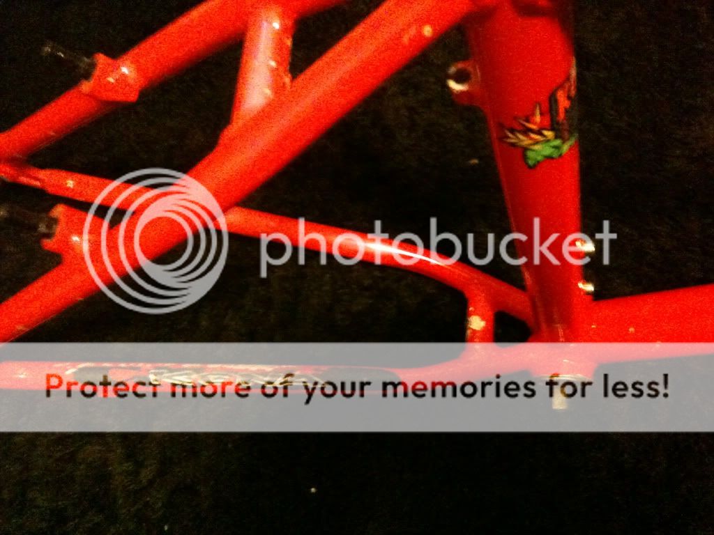 Picture004-6.jpg