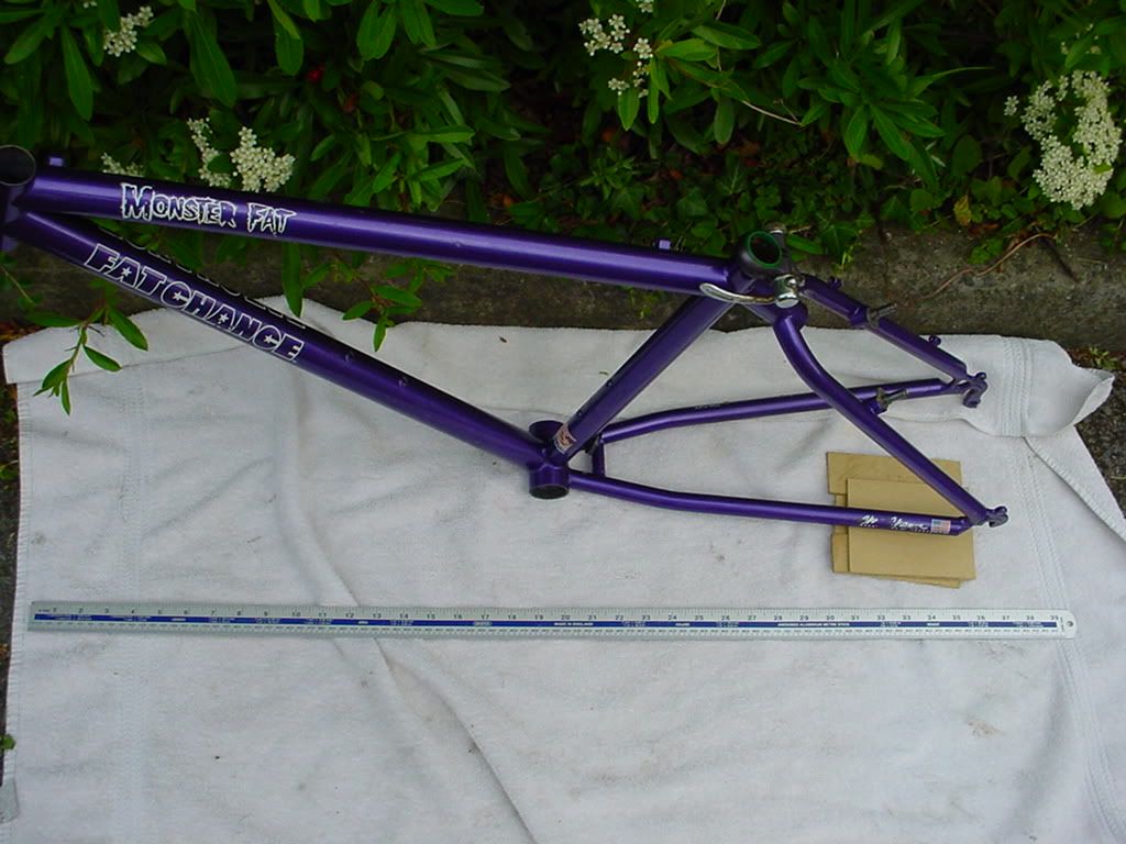 DSC03368.jpg