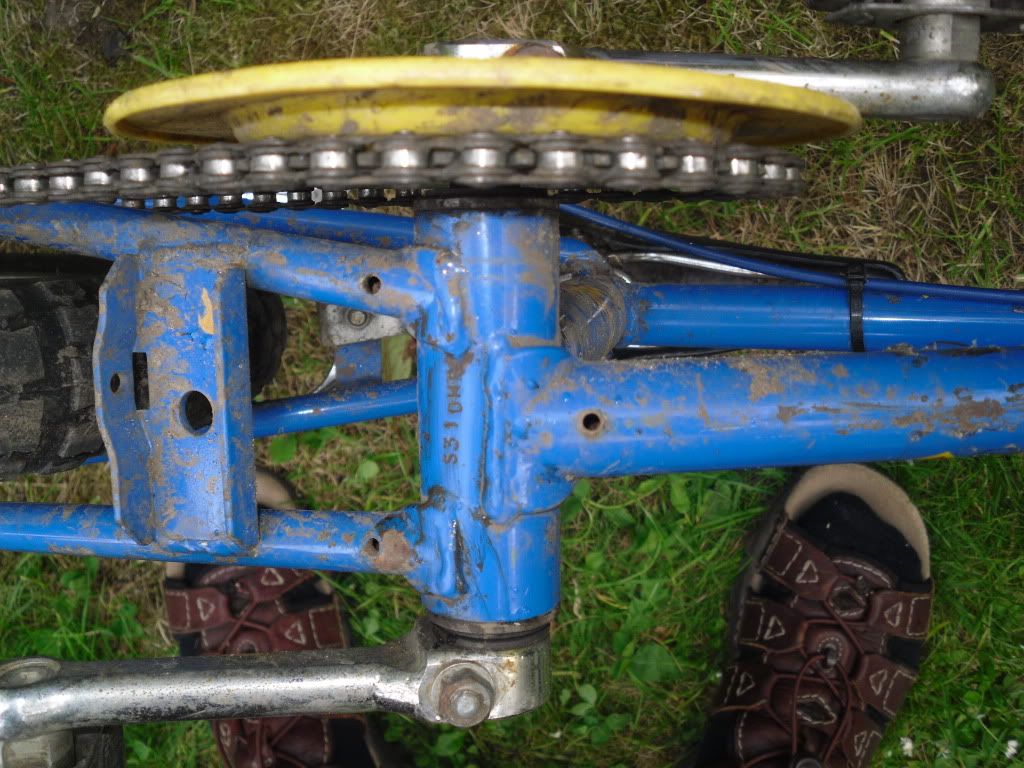 SDC11039.jpg