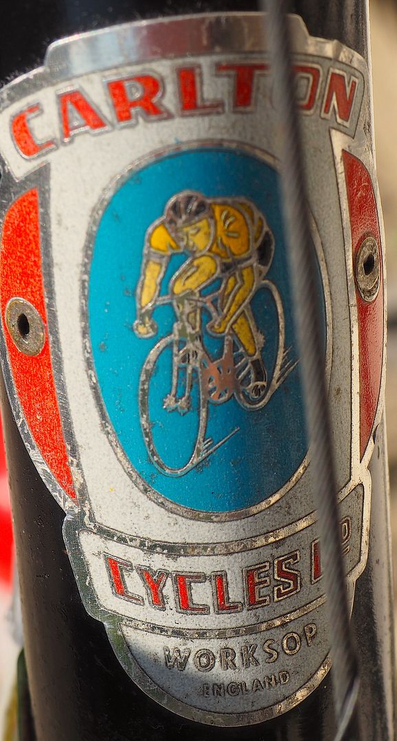 P9063551_zpspqhpbffa.jpg