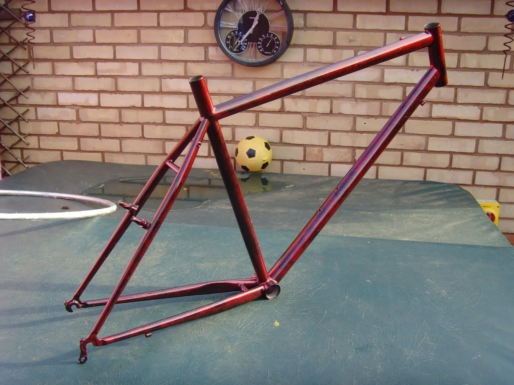 SNV35226.jpg