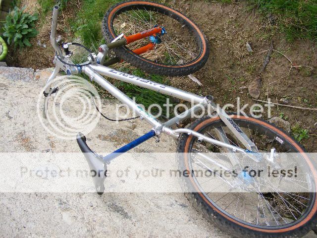 DSCF2433.jpg