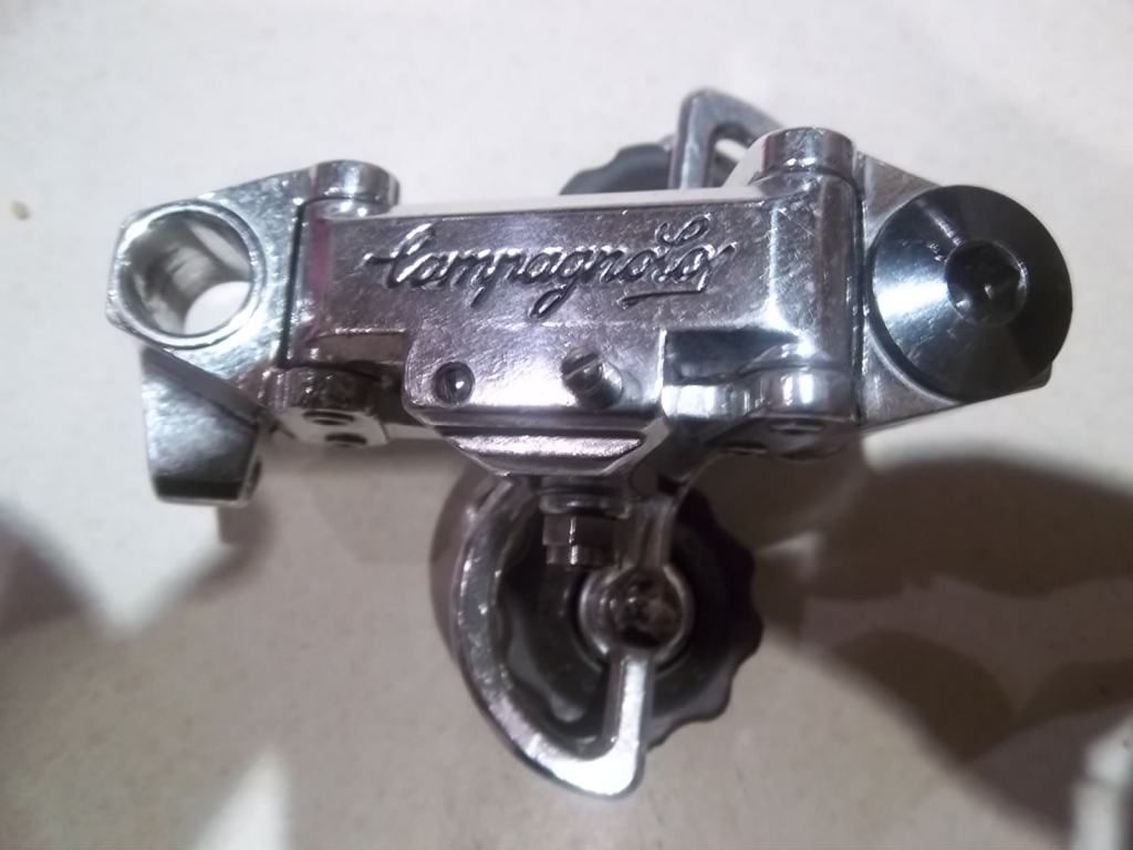 IMGP1630.jpg