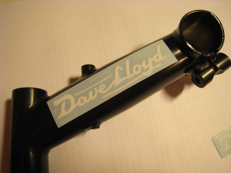 DLStem002.jpg