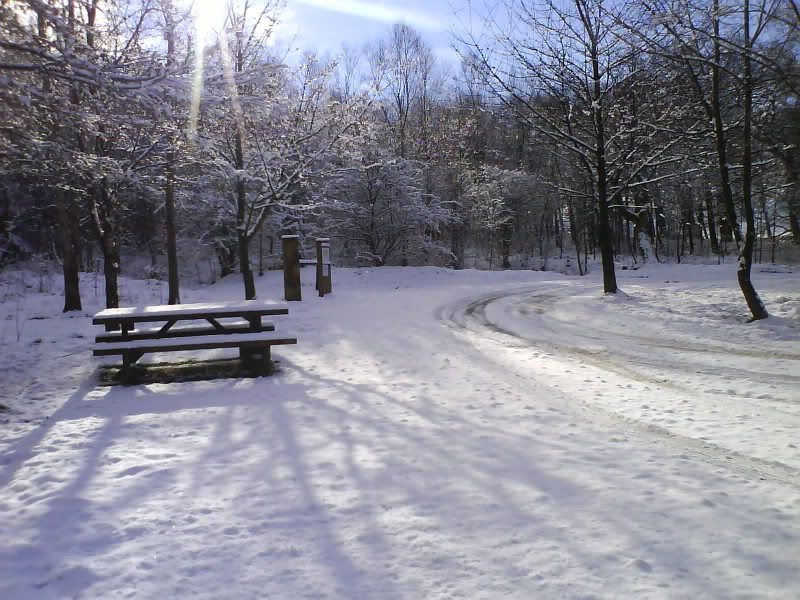 snow_004.jpg