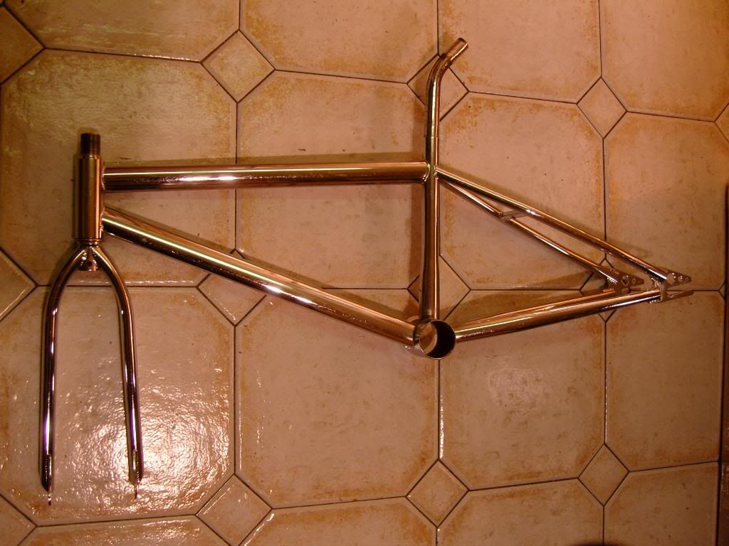 bmx2005-2.jpg