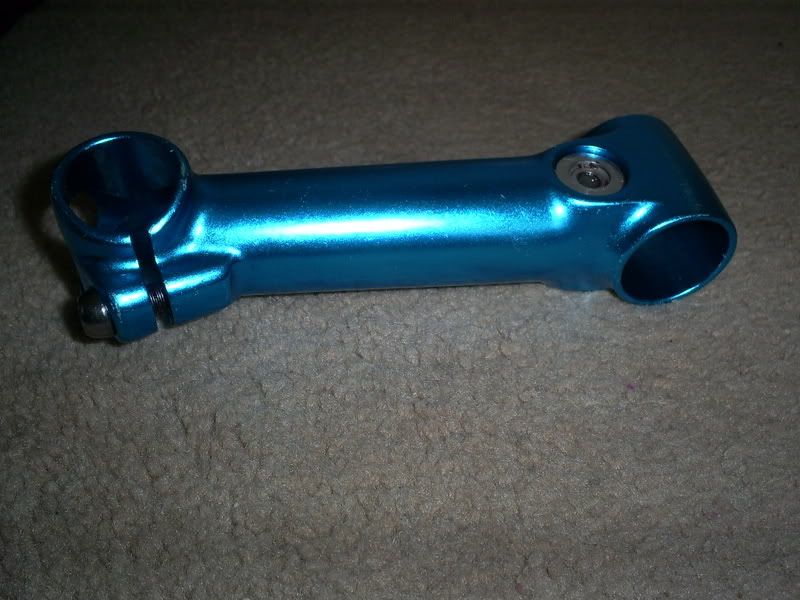 S5030681.jpg