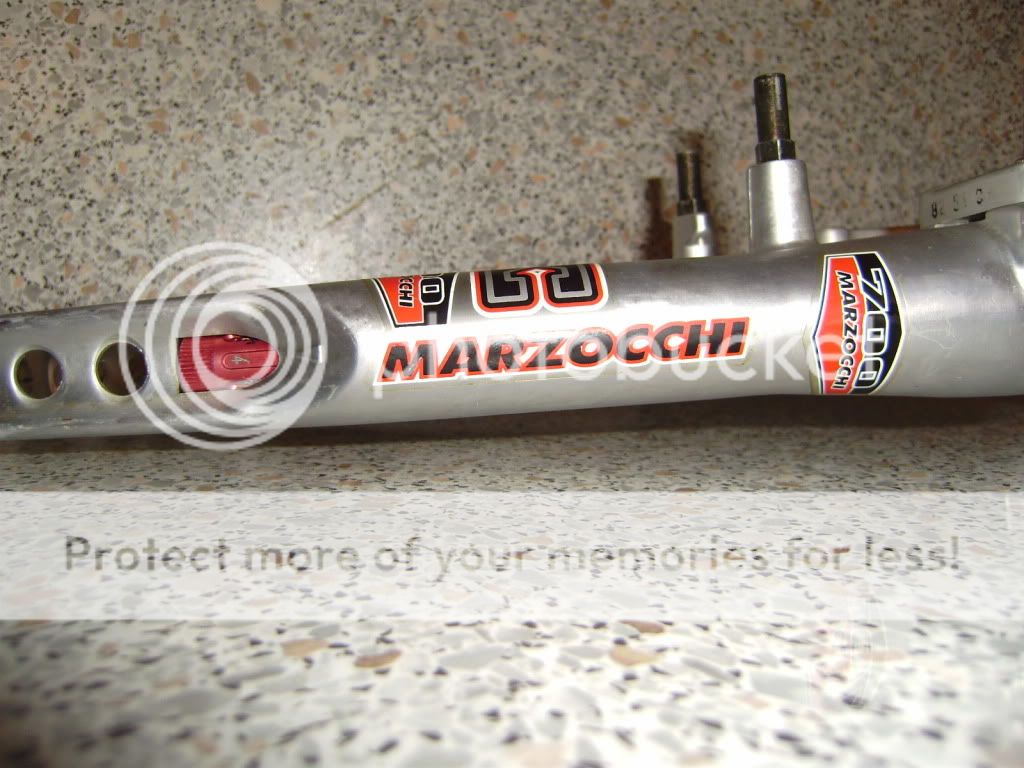 PB150087.jpg