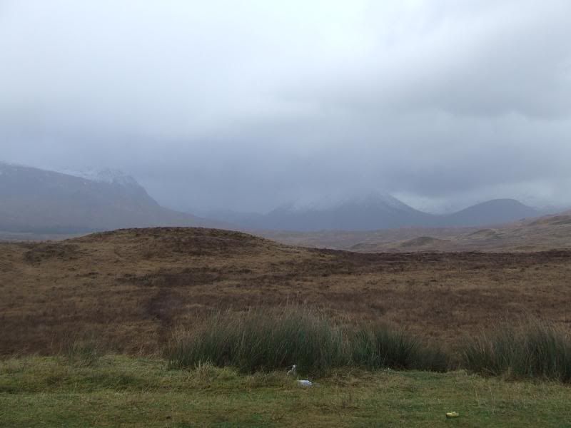 crerannov10020.jpg