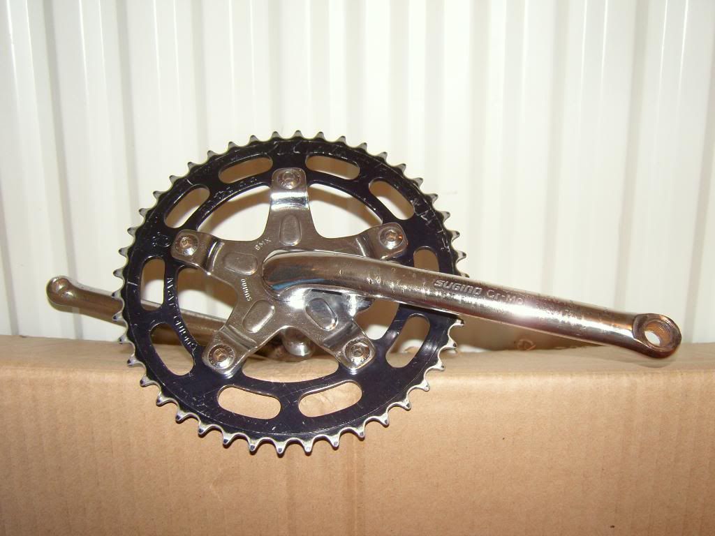 SNC10139.jpg