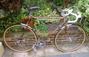 r.B.o.T.M. November 2010 is Spokesmann's 1975 Carlton Criterium  