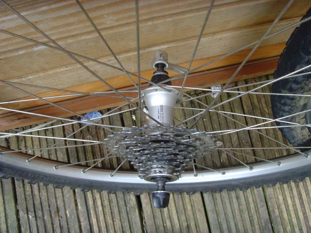 SNV33957.jpg