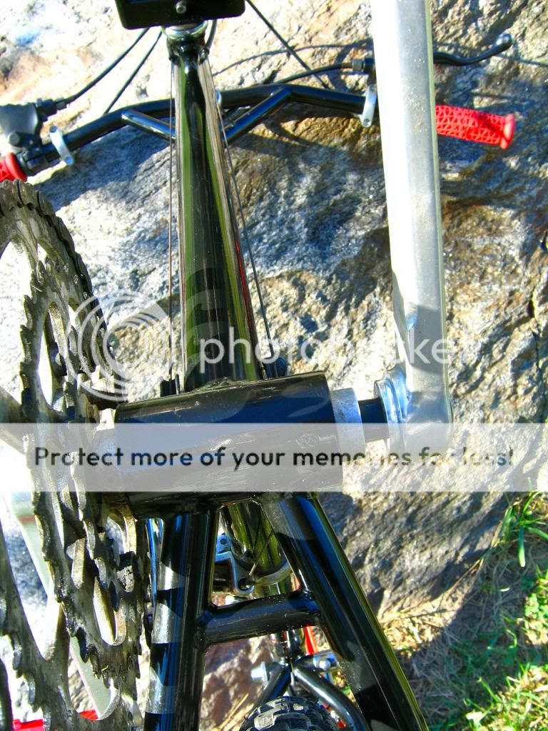 IMG_3210_zps5d3608d3.jpg