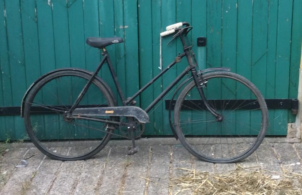 women's sit up and beg bikes