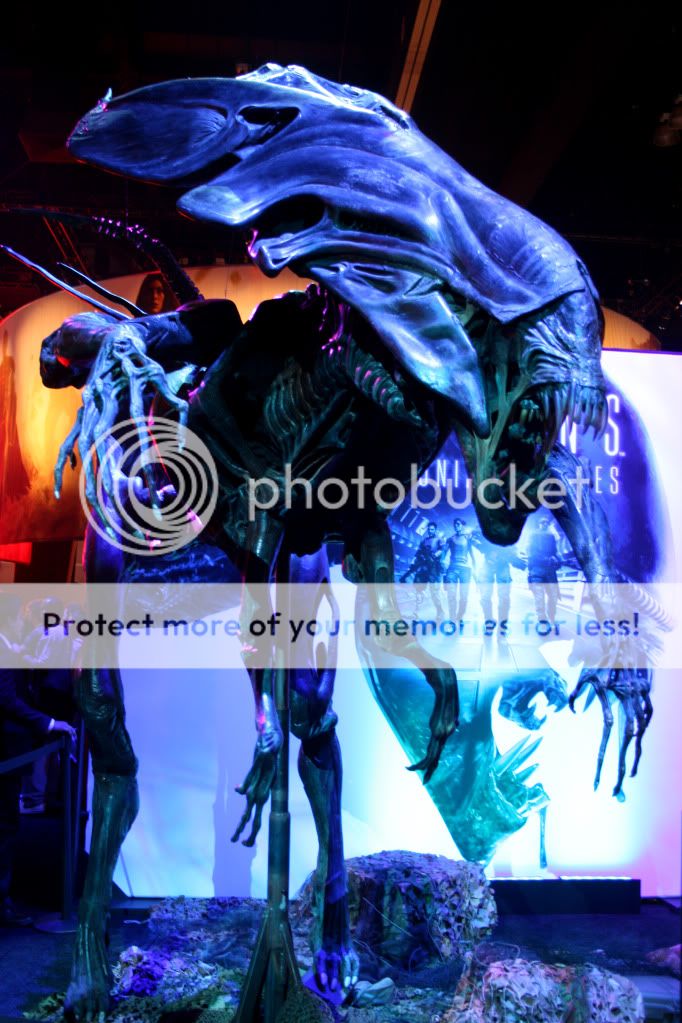 IMG_6882.jpg