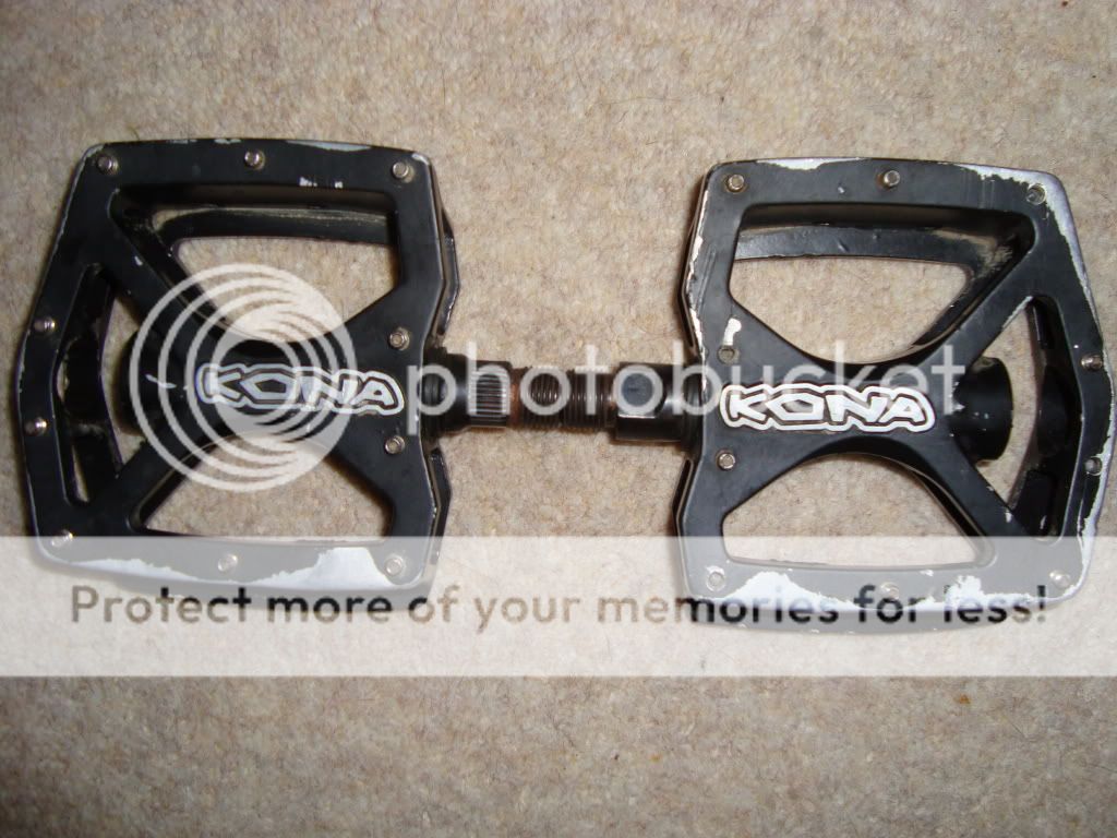 Adambike011.jpg