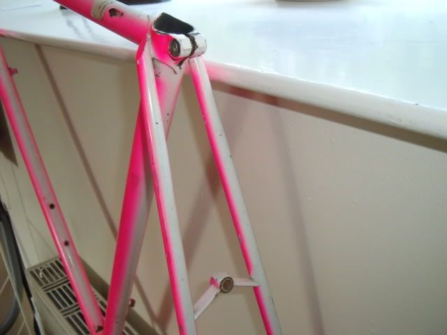 ribbleseatcluster.jpg