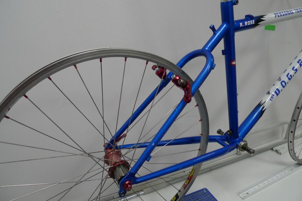 P1000260.jpg