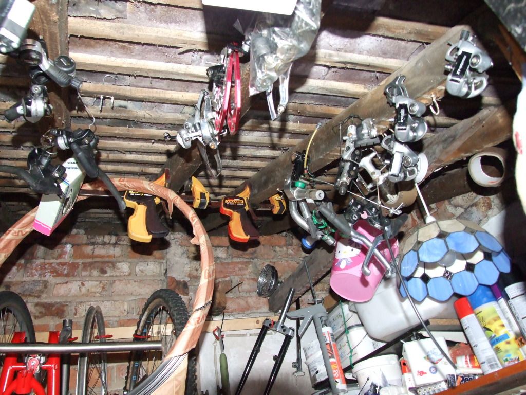 DSCF6603.jpg