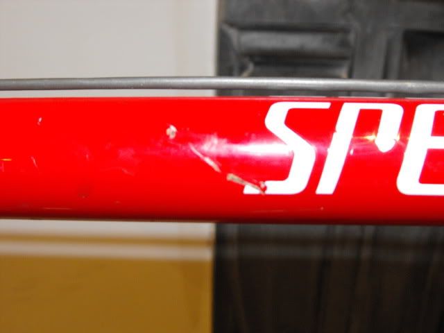 Stumpy036.jpg