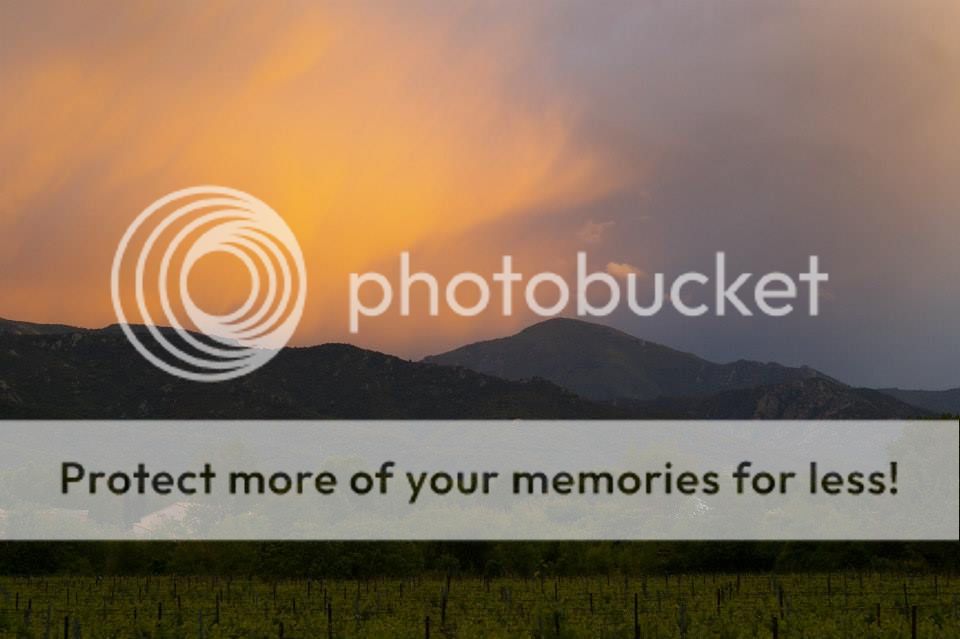 frenchsunset_zps60cd4c61.jpg