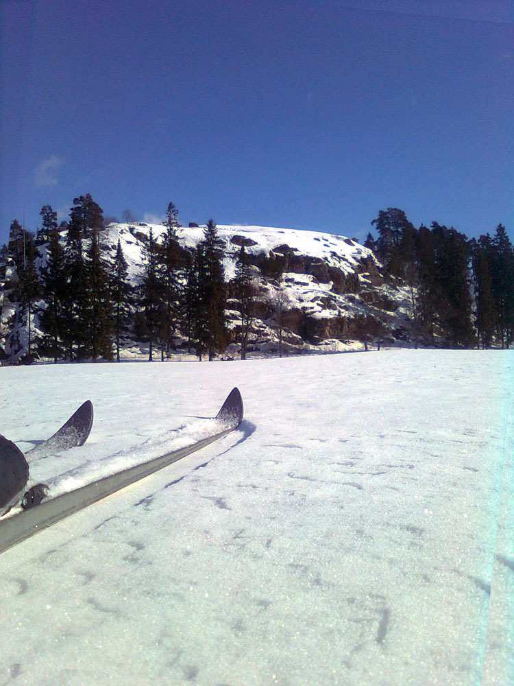 4428510191_a55cd62597_o.jpg