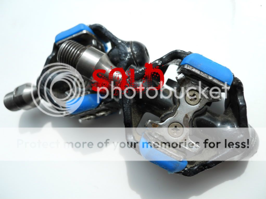 DSCN0629-1.jpg