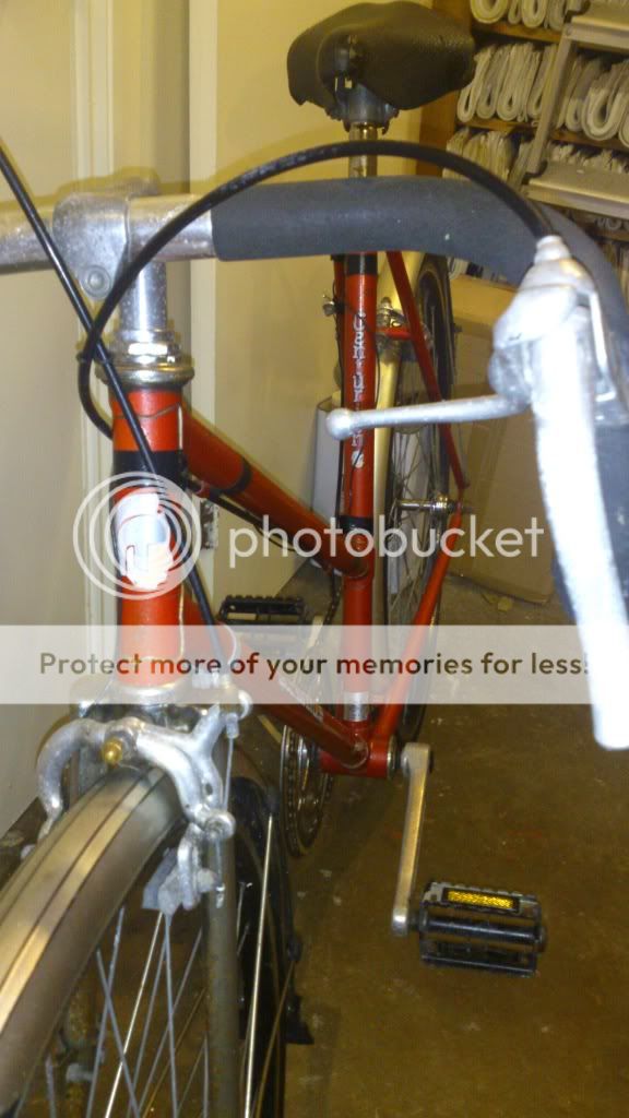 DSC_1558_zpsac6a8ae7.jpg