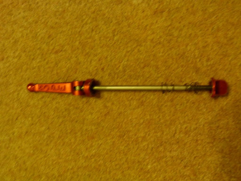 P1000039.jpg