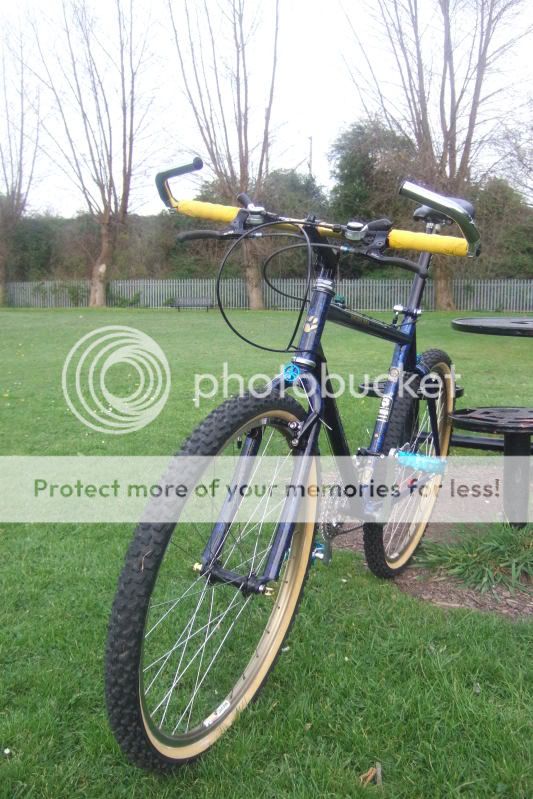 bikefox2009005.jpg