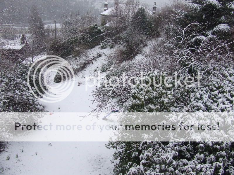 DSCF3167.jpg