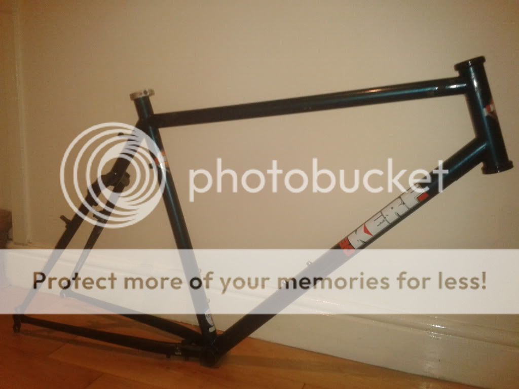 2011-11-17202537.jpg