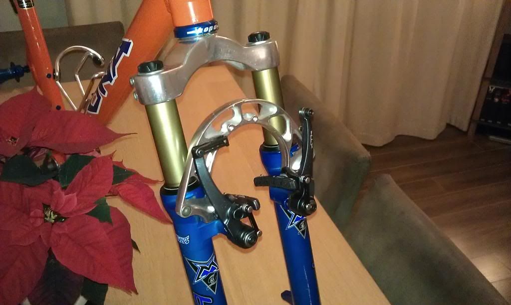 IMAG1152.jpg