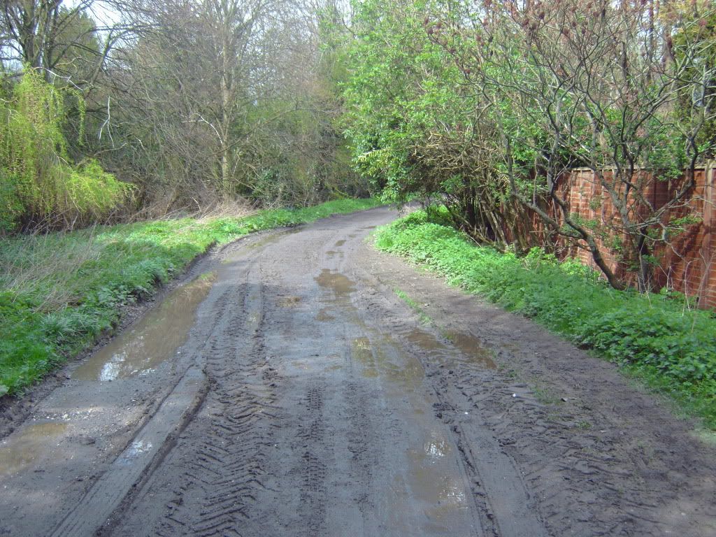 IMG00214.jpg