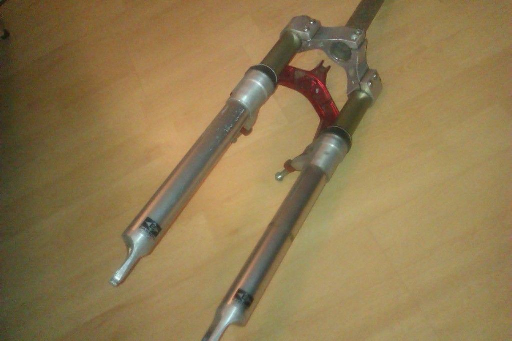 IMAG0180.jpg