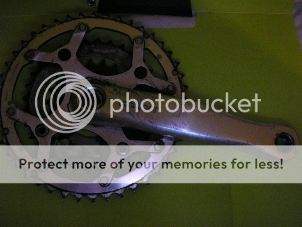 P1010426_zpsf3e53301.jpg