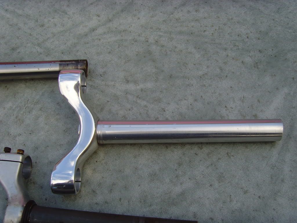 SNV36141.jpg