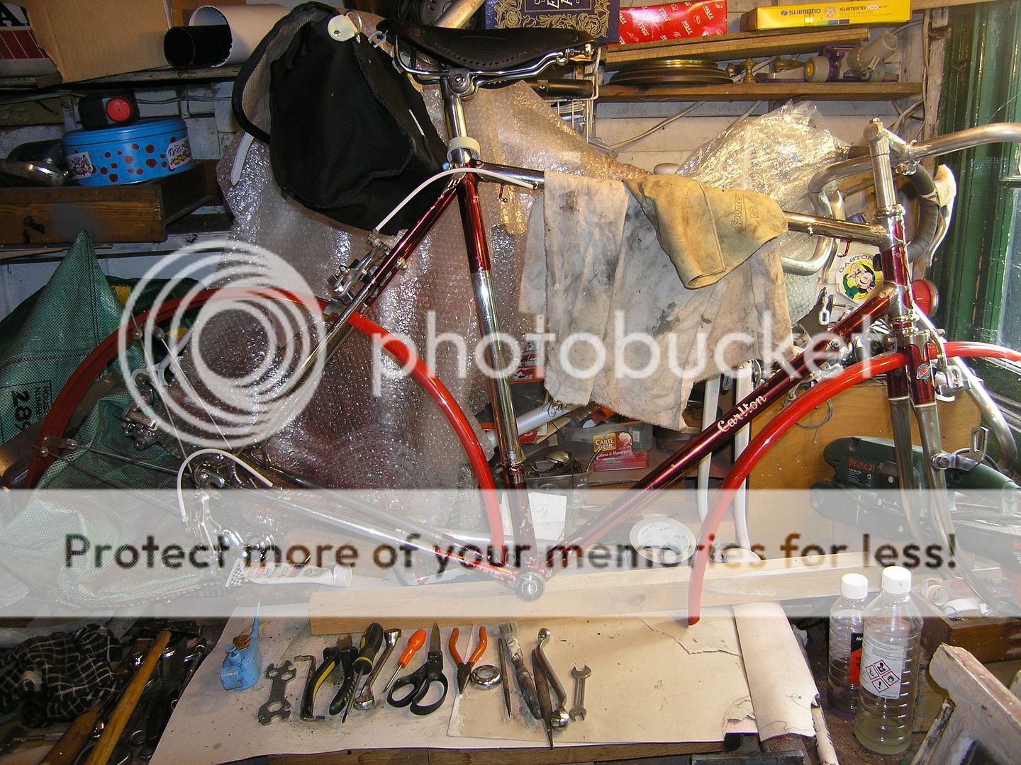 P7050139_zps7e348be8.jpg