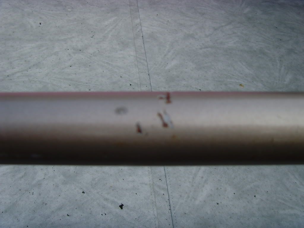 SNV35577.jpg