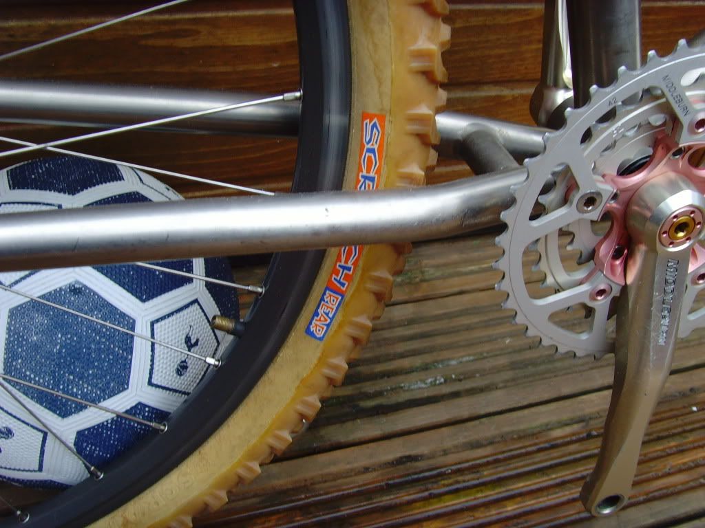 SNV35548.jpg