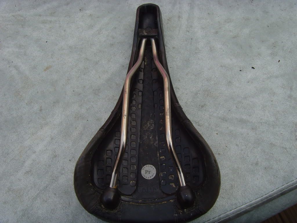 SNV35610.jpg