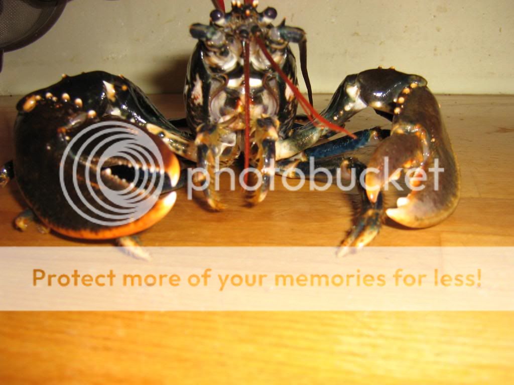 IMG_3001.jpg