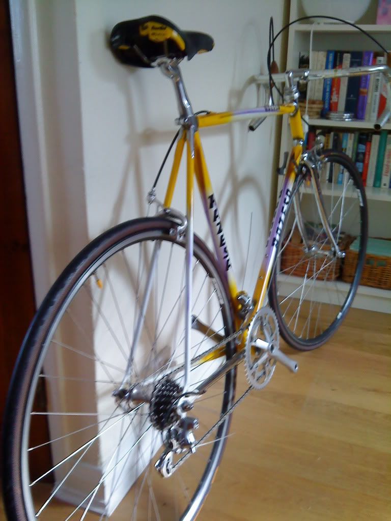 2010_02120032-1.jpg