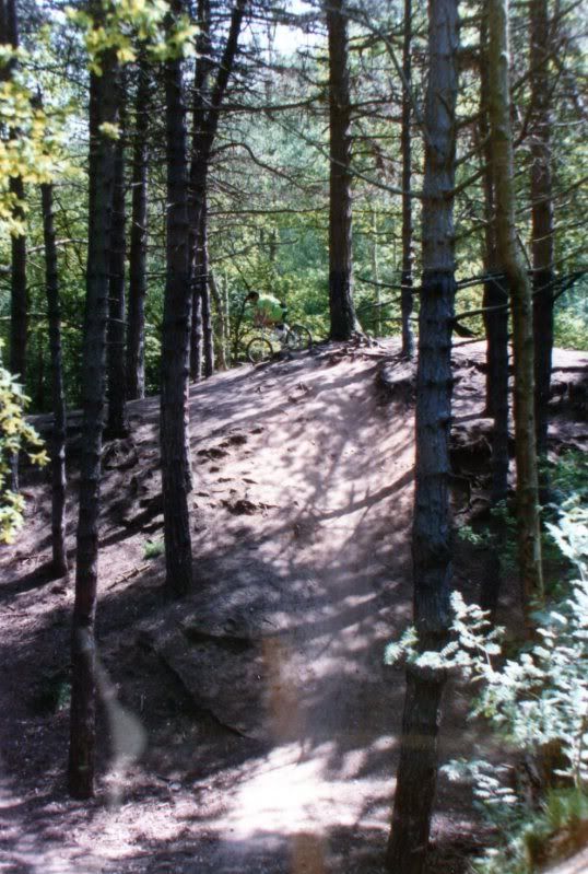 img009.jpg
