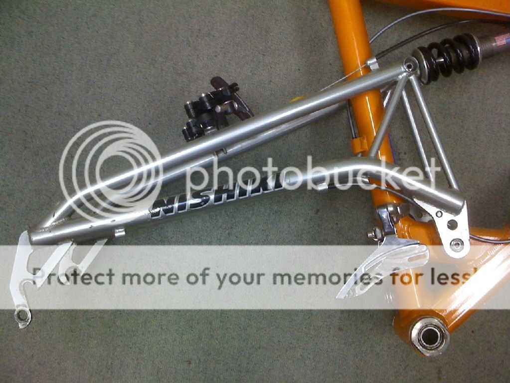 photo7.jpg