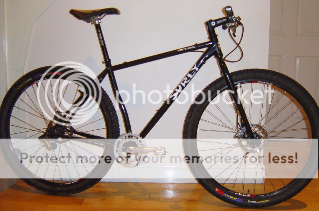 surly3.jpg